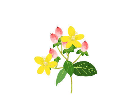 花イラスト｜無料イラスト・フリー素材なら「イラストAC」