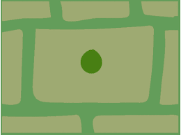 The cell cycle is the sequence of growth, dna replication, growth and cell division that all cells go through. Inside Cells 2
