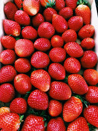 Free download hd & 4k quality handpicked collection. 100 Strawberry Pictures Download Free Images On Unsplash
