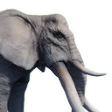 Craftpedia Net Conan Exiles Tamed Elephant