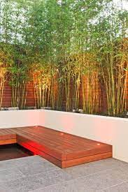 Do you think bamboo looks amazing? Contemporary Landscape Design Ideas Pictures Remodel Decor Courtyard Design Backyard Modern Garden