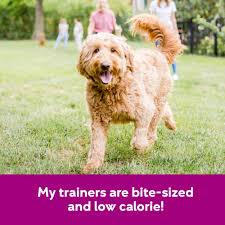 Buddy Biscuits Training Bites For Dogs, Low Calorie Dog Treats Baked In The  Usa, Chicken 10 Oz. - Walmart.Com