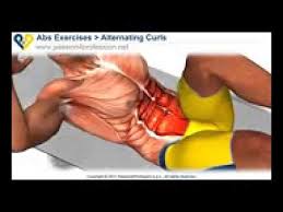 Abs Exercise Alternating Curls To Get Six Pack Fast Best