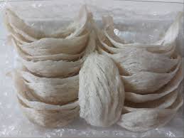 Buka cari loker medan untuk menemukan lowongan kerja terbaru di medan indonesia. Sekilas Tentang Sarang Walet Rg Herbal Wa 081263154970