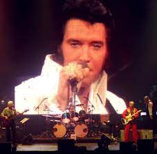 Alle jobs und stellenangebote in bamberg, bayreuth, coburg und der umgebung. Verlobte Schreibt Buch So Starb Elvis Presley Welt