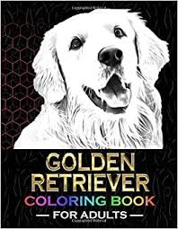 This can be emphasized when compared to the american. Amazon Com Golden Retriever Coloring Book For Adults Dogs Coloring Pictures For Adults Relaxation Gifts Ideas For Boys Girls Teens Men Women Dad Mom 9798639060069 Design Sbep Books