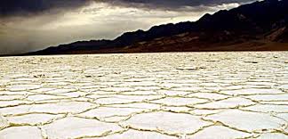 There are two places i am aware of to see it. Salt Flats Death Valley National Park U S National Park Service