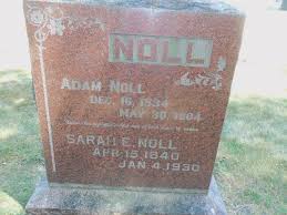 Adam Noll (1834-1904)