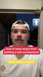 Let me know if the decoy nest worked for you! #wasps #bees #diy #bugs  #south #thesouth #hack #lifehacks #homehacks #foryou #foryoupage