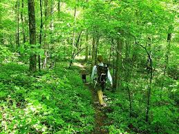 With so many interwoven trails, unique historical sites and enchanting springs, you're sure to find this one of a kind town the perfect destination for your spring travel! Eureka Springs Hiking Experience Guide Arsenic Old Lace