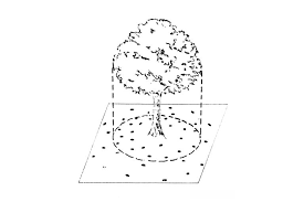 When should you fertilize fruit trees. When And How Do I Fertilize Trees