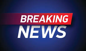 German liberals coy on kingmaker potential after state vote success. Plitak Uradi Pohvala Top News Druyogawithsuecheese Com