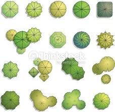 Trees Top View For Landscape Design Vector Illustration Trees Top View Landscape Design Drawings Landscape Design