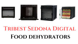 Best Tribest Sedona Digital Food Dehydrator In 2019