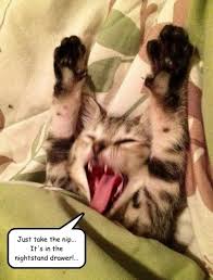 4.7 out of 5 stars 12. I Can Has Cheezburger Drawer Funny Animals Online Cheezburger