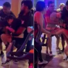 Stream Video portal zacarias menina do suvaco menina do suvaco by Rian  Kurniawan | Listen online for free on SoundCloud