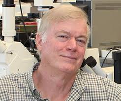 Distinguished Faculty Award