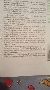 Topic ~ calităţi şi defecte ~. MenÈ›ioneazÄƒ Defectele È™i CalitÄƒÈ›ile Chiritei Va Rog Ex 5 Brainly Ro