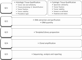 We explain how cancer is staged, the major ways cancer is found by imaging, and how the major cancers are treated. Cancers Free Full Text Analysis Of Pre Analytic Factors Affecting The Success Of Clinical Next Generation Sequencing Of Solid Organ Malignancies