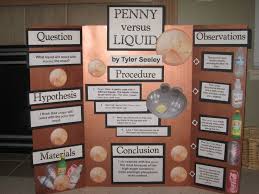 Biology Science Fair Projects For 7th Grade 45ec79f32c09c7127675e5f11985215a Jpg 736 552 Easy Science Fair Projects Cool Science Fair Projects Kids Science Fair Projects