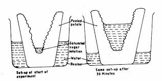 Leakage 3 kcse 2021 leakage biology 4 kcse 2021 prediction 5 kcse 2021 prediction pdf 6 kcse 2021 prediction questions 7 kcse 2021 predictions 8 kcse 2021 registration 9 kcse 2021 timetable 10 kcse prediction kcse leakage will you mind sending to me there is something… Kcse Past Papers Biology 2011 Kenyan Digest