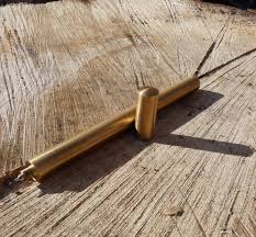 Image result for Ateleia