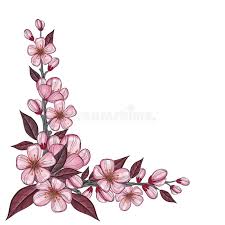 Oltre 539.000 vettori, foto stock e file psd. Zeichnung Von Rosa Lisianthus Blume Stock Abbildung Illustration Von Hintergrund Realistisch 43844097