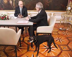 Juli war der hund eines bekannten, der leider verstorben ist. Hunde Und Politik Wertvolles Thema Fur Parteien News Orf At