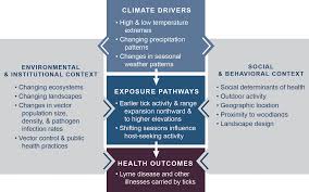 Since the agricultural and industrial revolution, human populations have experienced a period of explosive growth. Chapter 5 Vector Borne Diseases Climate And Health Assessment