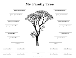 If You Have Lots Of Siblings This Is The Family Tree For