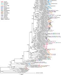 Image result for Anisopappus kirkii