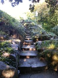 Die geschichte des botanischen gartens der stadt wuppertal begann bereits im jahre 1890, als dieser in form eines schulgartens angelegt wurde. Wanderung Botanischer Garten Wuppertal Patrick S Pinguin Wg