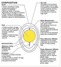 Despite its weird appearance, it in fact, the egg's chalazae disappear as the egg ages, so if you can't find at least one after cracking an egg open, chances are the egg has been sitting at. This Is What Those White Squiggly Things On Egg Yolks Are