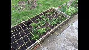 Eine der besten strategien zur bekämpfung von ratten im garten, ist die anschaffung einer katze. Keine Katzen In Meinen Gartenbeeten Cats Pooping In My Garden Beds Youtube