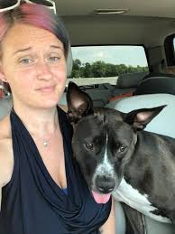 Lost dog spotted in Spencer County near Briar Ridge