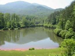 I had a camper there for years and did not know mr payne lived there till a friend sent me the link to the towns county sheriff dept. Hickorynut Cove Annual Lease Rv Sites Resort In Hiawassee In The North Georgia Mountains