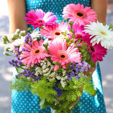 Check spelling or type a new query. Gerbera The Best Care Tips Mygarden Com