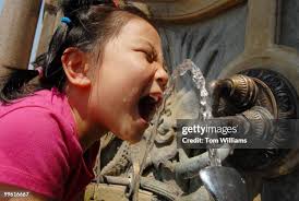 81,653 Tai Stock Photos, High-Res Pictures, and Images