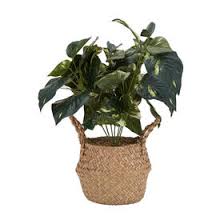 See more ideas about fake flowers, flowers, clay flowers. Artificial Plants Artificial Flowers Buy Plastic Plants Flowers Kmart Nz
