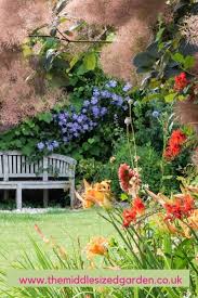 We did not find results for: How To Choose The Best Climbing Plant For Your Garden The Middle Sized Garden Gardening Blog