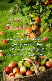 أهوى الجمال كأن الكون في نظري بستان ورد ونسرين وتفاح الأرض بيـتي وكل النـاس عائلتي بالحب أوصل أرواحا بأرو morning images good morning morning greeting