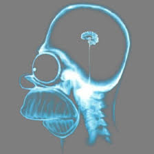 X-Ray Homer [GameBanana] [Sprays]