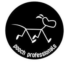 Check spelling or type a new query. The Team