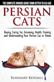 Persian Cats The Complete Owners Guide From Kitten To Old