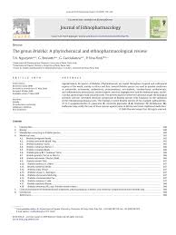 Image result for Bridelia brideliifolia