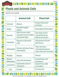 Learn About Animal And Plant Cells With These Printable Worksheets Description From Pinterest Com I Search Science Cells Biology Classroom Science Worksheets