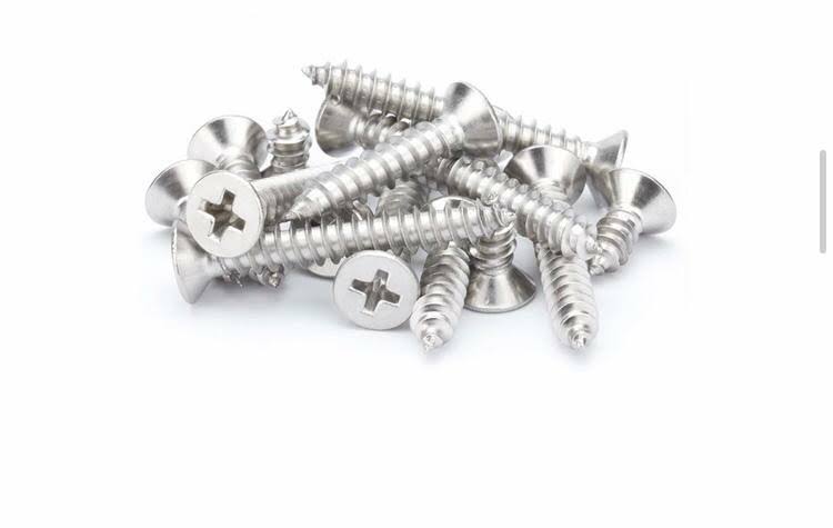 Ss Philips Head Screw product image