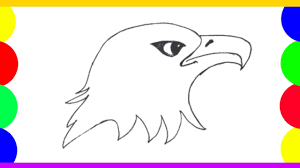 Learn how to draw an eagle, step by step, narrated drawing tutorial. How To Draw An Eagle Very Easy For Kids Eagle Sketch Draw Session Youtube