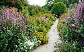Corten steel lawn edging metal fence flexible border 20 meter a´ 14 cm high. Border Gardening How To Plant A Herbaceous Perennial Border David Domoney Herbaceous Perennials Perennials Plants