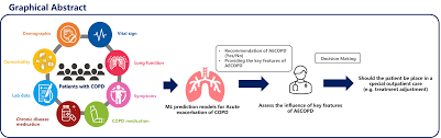 Image result for COPD Exacerbation Decision Tool